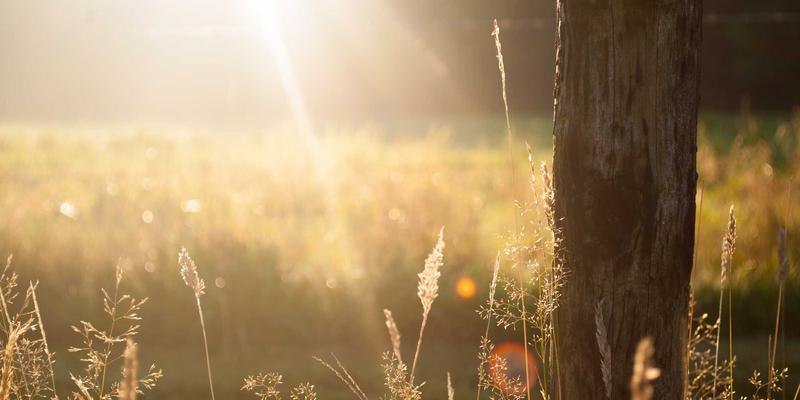 从大鱼自行车发展看骑行装备进化：头盔与配件的安全革命