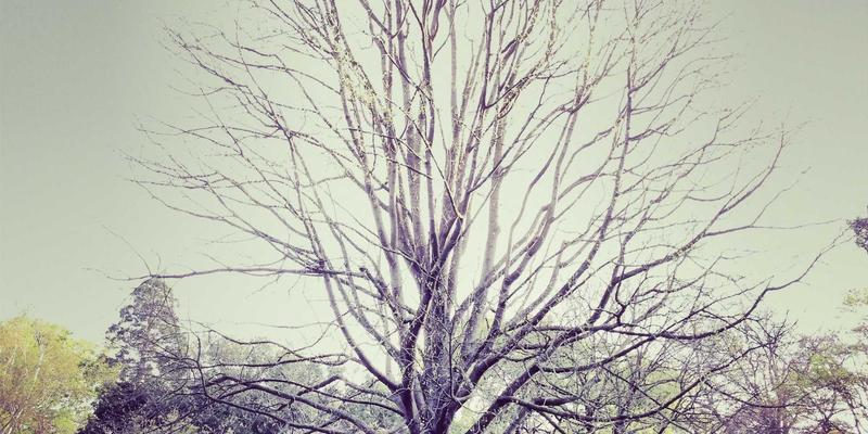 城市通勤革命：大鱼折叠电助力自行车如何通过空间优化与智能配件重塑骑行体验