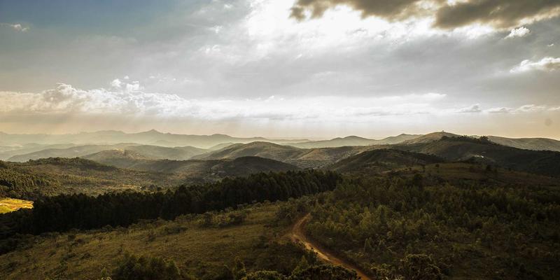 大鱼Gravel自行车轮胎与胎压科学：混合地形性能优化终极指南