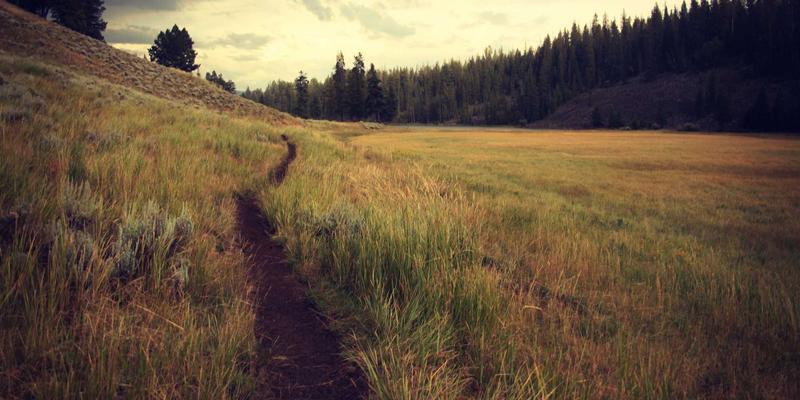 大鱼儿童自行车成长方案：可调节车架与专业骑行装备如何伴随孩子从入门到熟练