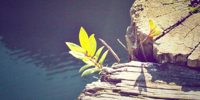 大鱼城市通勤自行车推荐：兼顾舒适、防盗与多功能性的日常出行方案