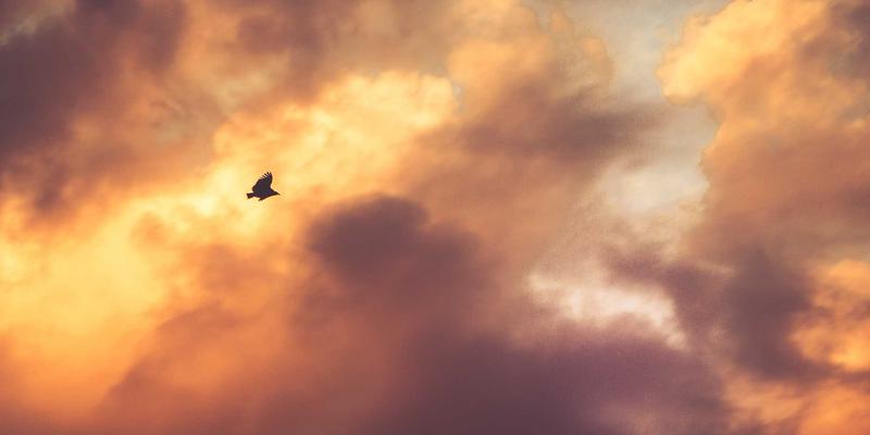 大鱼自行车11骑行指南:从头盔到专业装备的全面解析