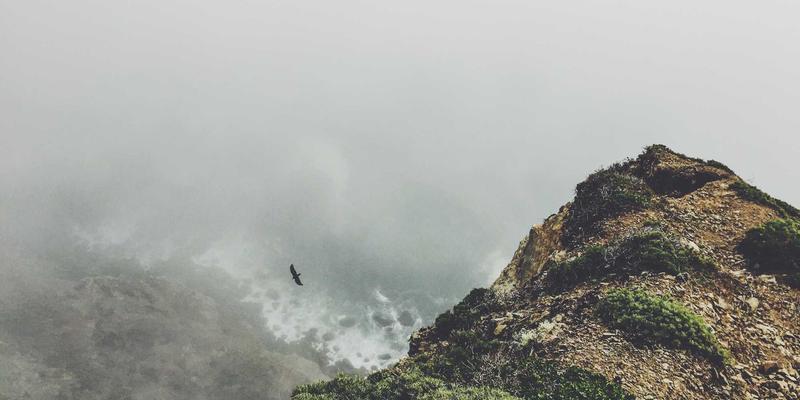 大鱼自行车28深度解析：如何选择专业骑行装备开启公路车之旅