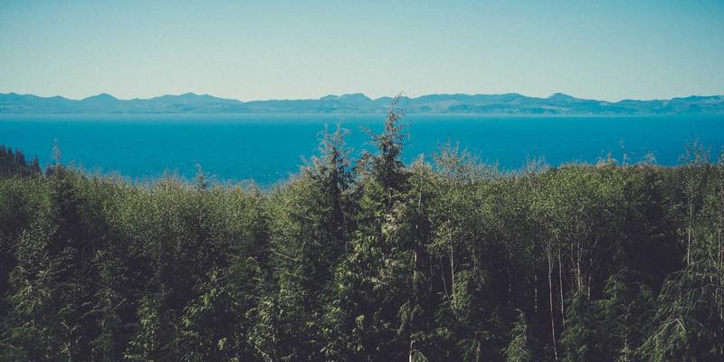 大鱼自行车79：骑行新选择，安全与配件全解析