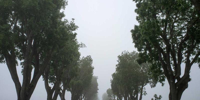 大鱼自行车旅行车系列深度测评：载物能力、舒适几何与长途可靠性全解析