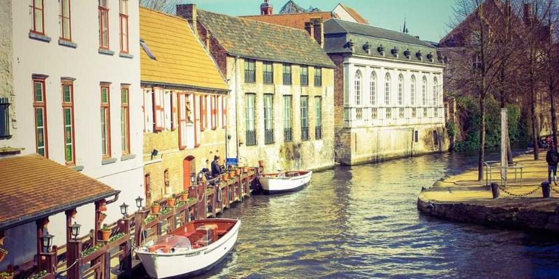 大鱼自行车车架材质全解析：碳纤维、铝合金与钢架的优劣对比及选购建议