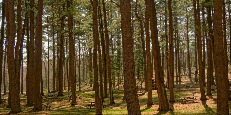 大鱼自行车轮组升级方案：如何通过更换轮组显著提升骑行效率与安全性