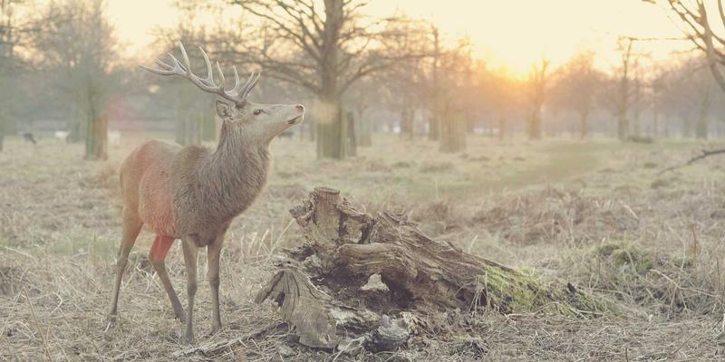 骑行装备升级指南：实测大鱼电助力自行车续航，揭秘不同路况与模式下的电池表现与优化技巧